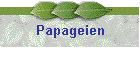 Papageien